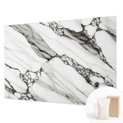 Fototapeta s potlačou na vliese Kamenný vzor