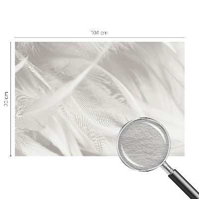 Fototapeta do obývačky Jemné pierka