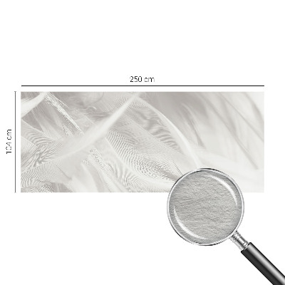 Fototapeta do obývačky Jemné pierka