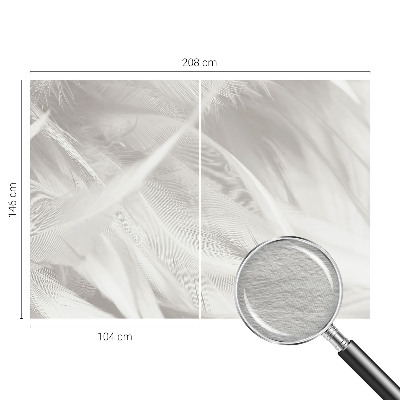 Fototapeta do obývačky Jemné pierka