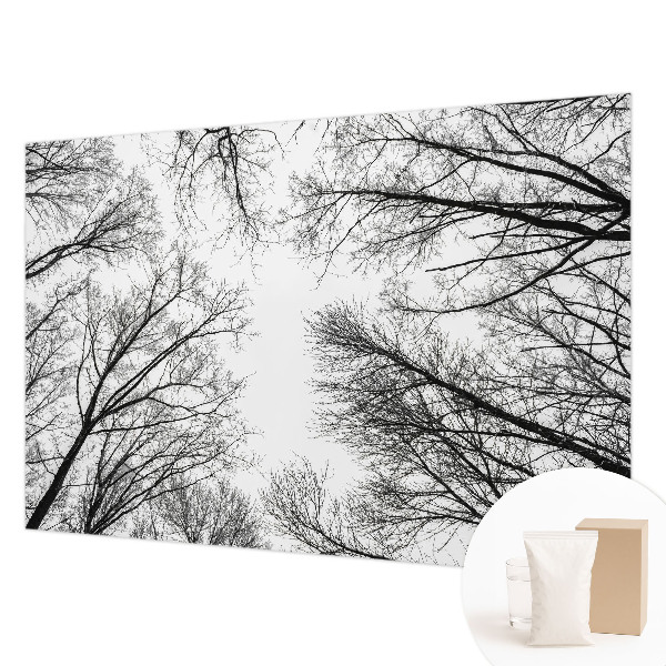 Fotografická tapeta na vliese Holé konáre