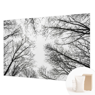 Fotografická tapeta na vliese Holé konáre