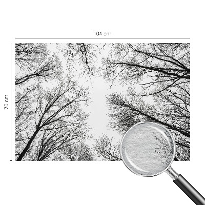 Fotografická tapeta na vliese Holé konáre