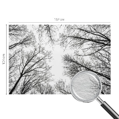 Fotografická tapeta na vliese Holé konáre