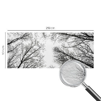 Fotografická tapeta na vliese Holé konáre