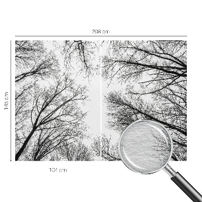 Fotografická tapeta na vliese Holé konáre