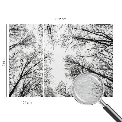 Fotografická tapeta na vliese Holé konáre