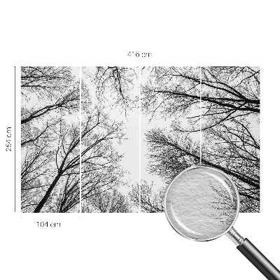 Fotografická tapeta na vliese Holé konáre