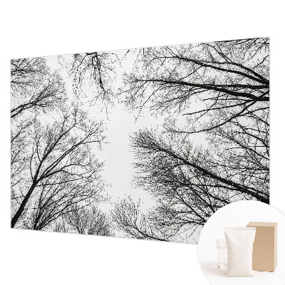 Fotografická tapeta na vliese Holé konáre