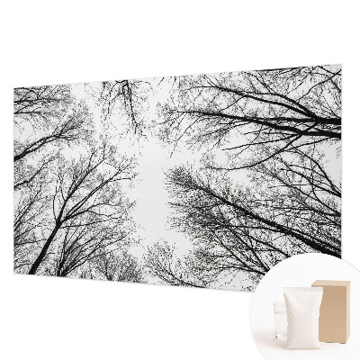 Fotografická tapeta na vliese Holé konáre