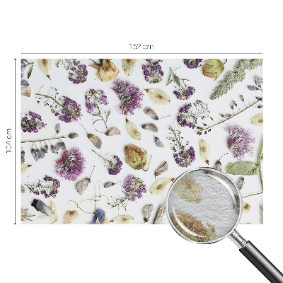 Fototapeta do obývačky Sušené kvety