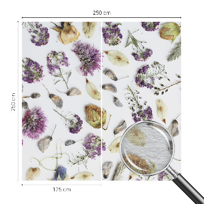 Fototapeta do obývačky Sušené kvety