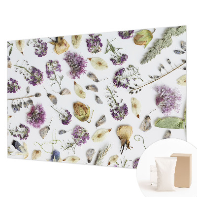 Fototapeta do obývačky Sušené kvety