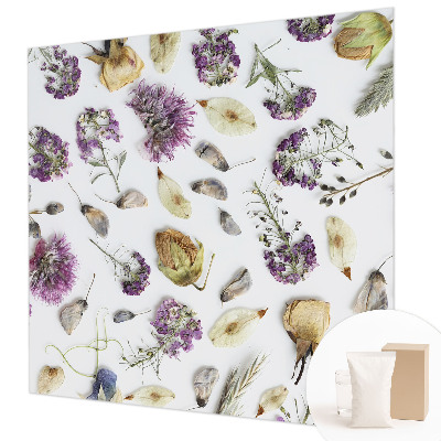 Fototapeta do obývačky Sušené kvety