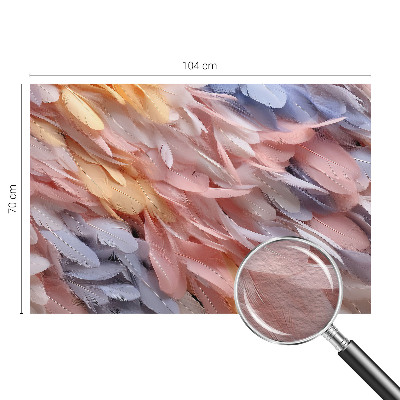 Fototapeta do obývačky Pastelové pierka