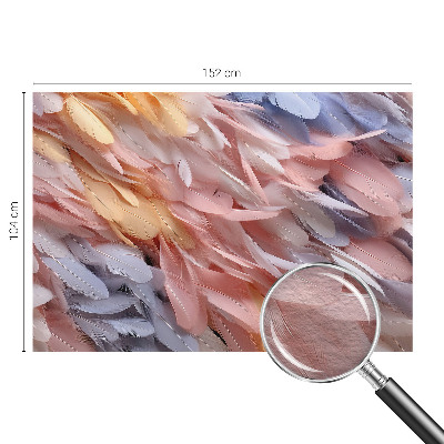 Fototapeta do obývačky Pastelové pierka