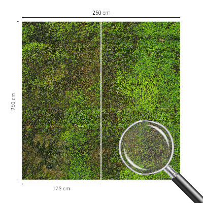 Vliesová fototapeta do obývačky Zelený koberec