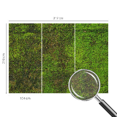 Vliesová fototapeta do obývačky Zelený koberec