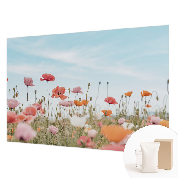 Vliesová fototapeta s potlačou Makové kvety