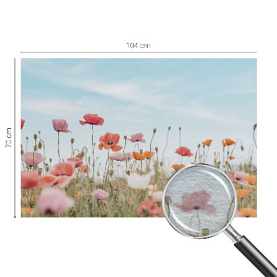 Vliesová fototapeta s potlačou Makové kvety