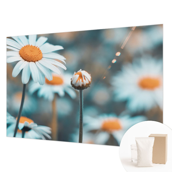 Tapeta na stenu Harmančeková pochúťka