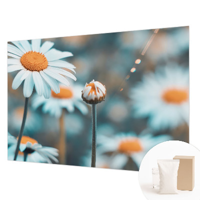 Tapeta na stenu Harmančeková pochúťka