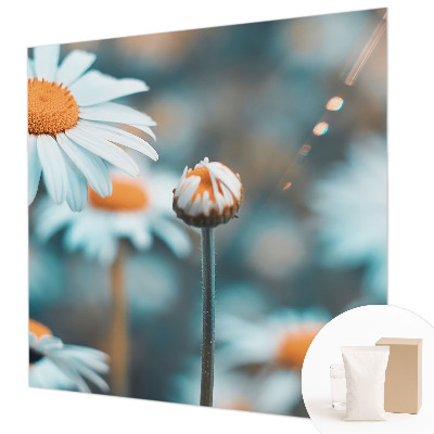 Tapeta na stenu Harmančeková pochúťka