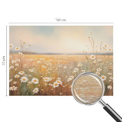 Fototapeta na stenu Kvetinová lúka