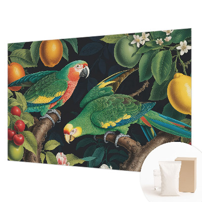 Vliesová tapeta Tropické dobrodružstvo