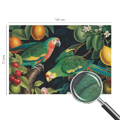 Vliesová tapeta Tropické dobrodružstvo