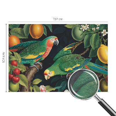 Vliesová tapeta Tropické dobrodružstvo