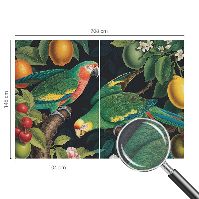 Vliesová tapeta Tropické dobrodružstvo