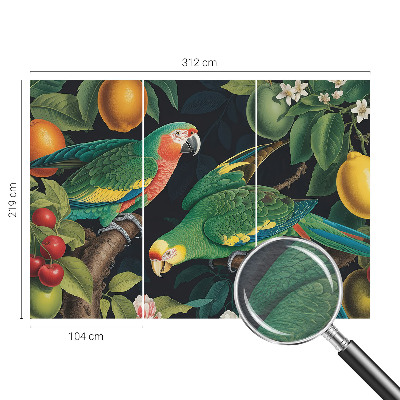 Vliesová tapeta Tropické dobrodružstvo