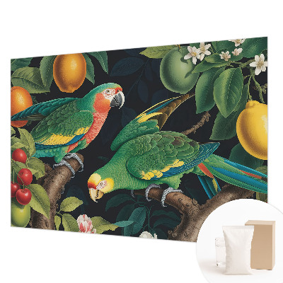 Vliesová tapeta Tropické dobrodružstvo