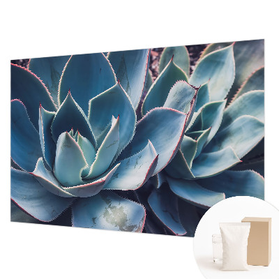 Fotografická tapeta na vliese Zelená aloe