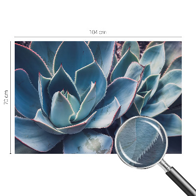 Fotografická tapeta na vliese Zelená aloe