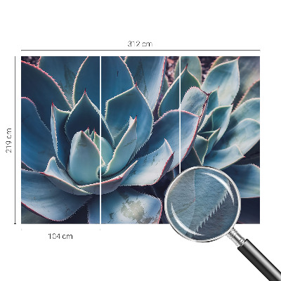 Fotografická tapeta na vliese Zelená aloe