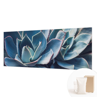 Fotografická tapeta na vliese Zelená aloe