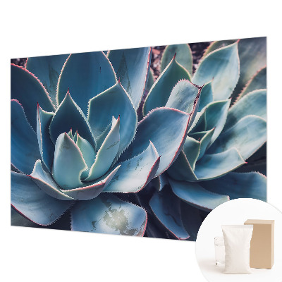 Fotografická tapeta na vliese Zelená aloe