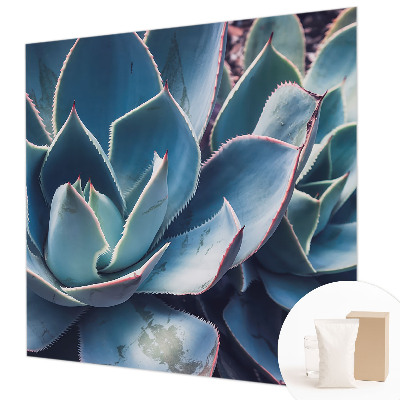 Fotografická tapeta na vliese Zelená aloe