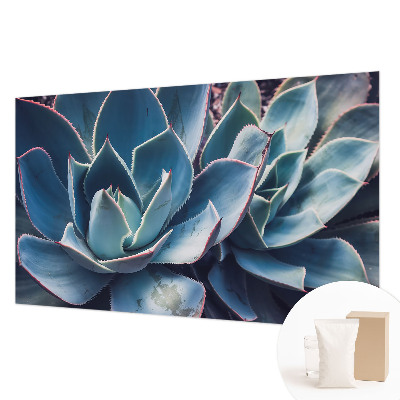 Fotografická tapeta na vliese Zelená aloe