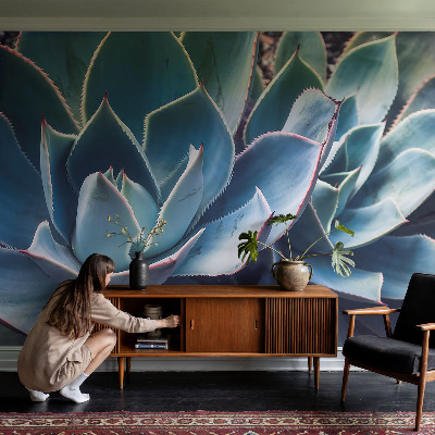 Fotografická tapeta na vliese Zelená aloe