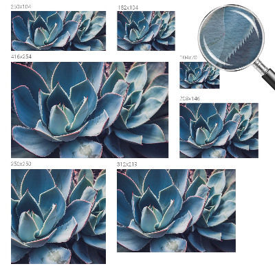 Fotografická tapeta na vliese Zelená aloe