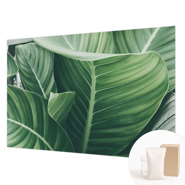 Fototapeta do obývačky Zelený mier