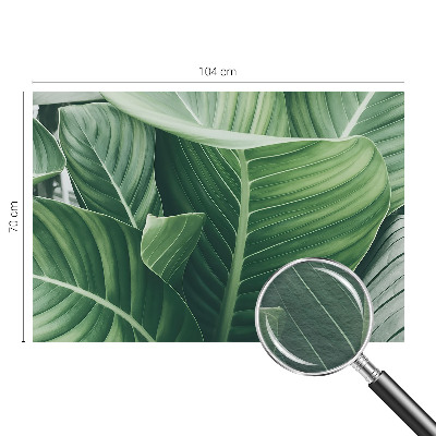 Fototapeta do obývačky Zelený mier