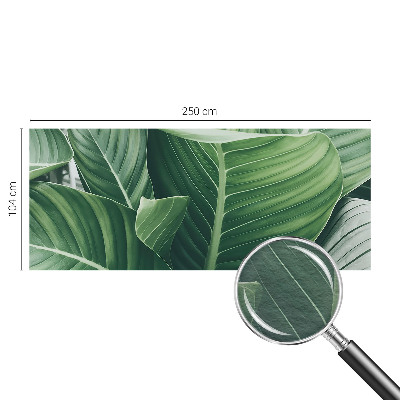 Fototapeta do obývačky Zelený mier