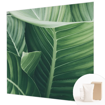 Fototapeta do obývačky Zelený mier