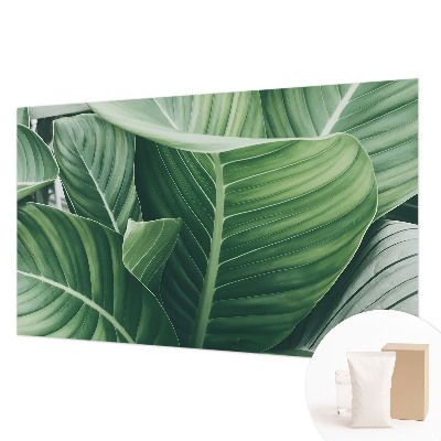 Fototapeta do obývačky Zelený mier