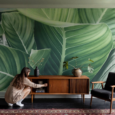 Fototapeta do obývačky Zelený mier