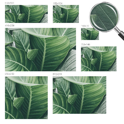 Fototapeta do obývačky Zelený mier